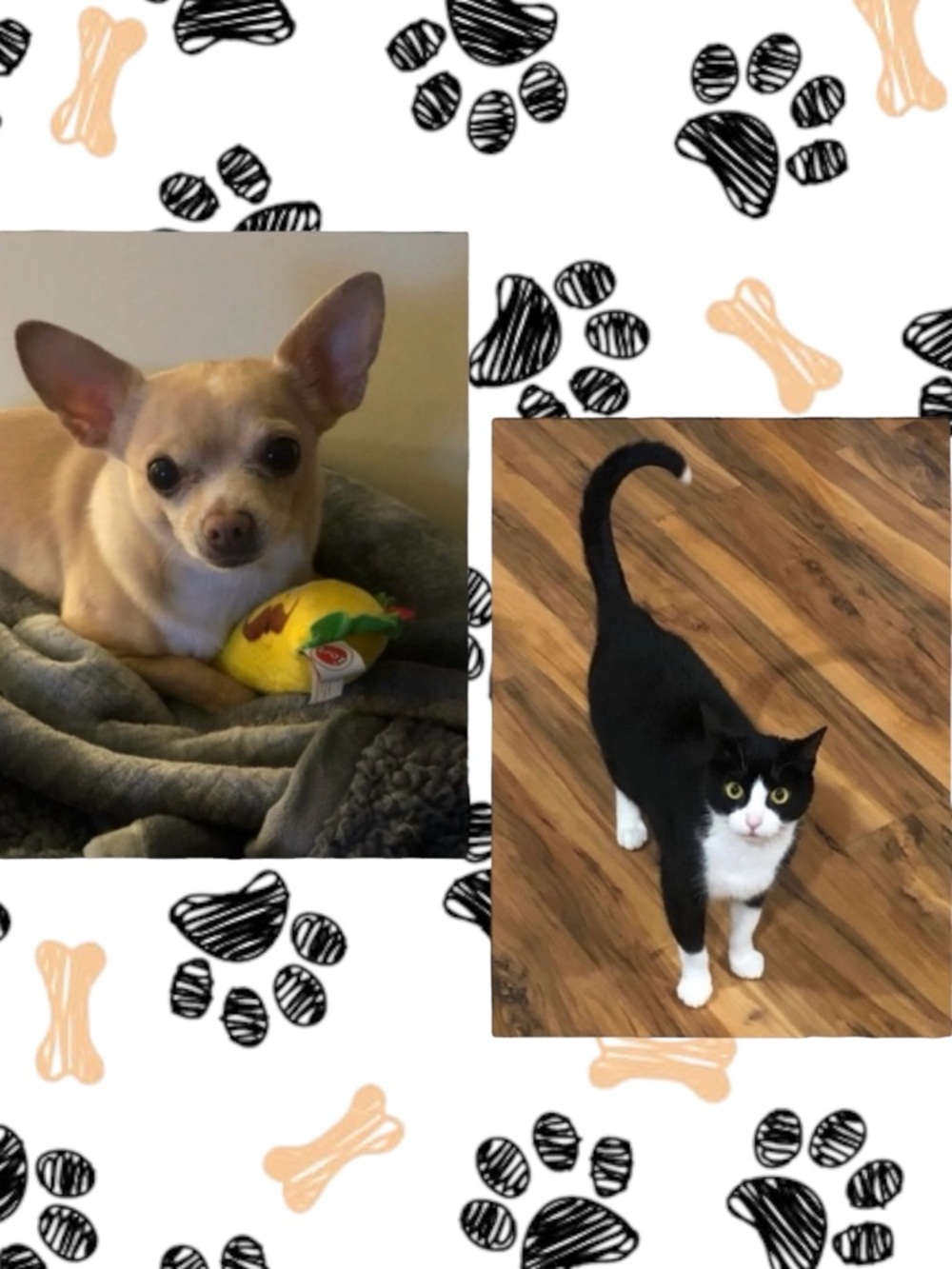 💕 SHELBY IS LIVE COME JOIN SHARE SHOW!! 💕 - Picture 14 of 15